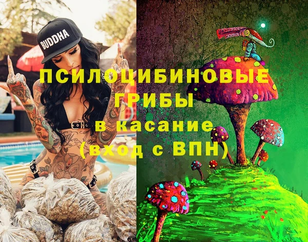 стафф Нефтегорск