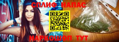 тгк Камышлов