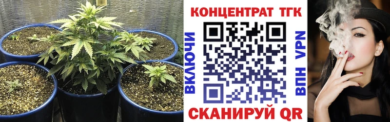 ТГК Wax  Минусинск 