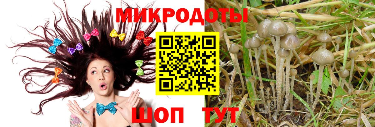 магазин продажи наркотиков  Галлюциногенные грибы Psilocybe  Вход с VPN  Минусинск 