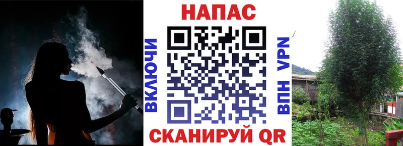 как найти Минусинск Каннабис ГИДРОПОН